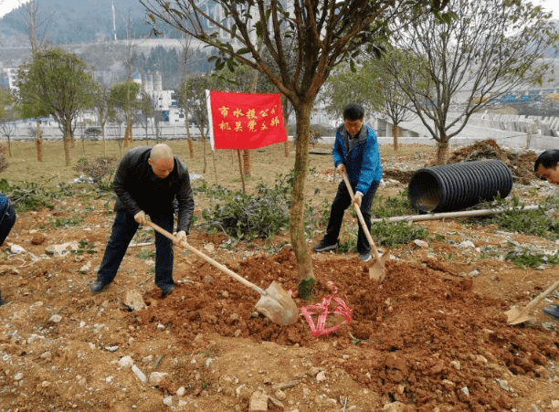 市水投公司機(jī)關(guān)支部開展植樹活動(dòng)