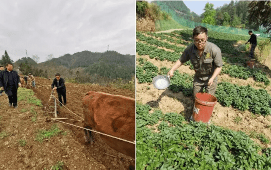 傾情為民  甘于奉獻(xiàn)——羅佳拉