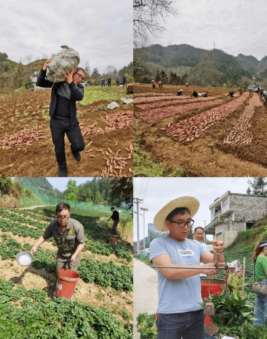 傾情為民  甘于奉獻(xiàn)——羅佳拉