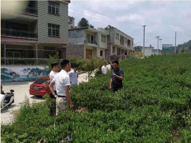 銅仁城投集團(tuán)領(lǐng)導(dǎo)到沿河縣淇灘鎮(zhèn)竹園村開展宣講工作